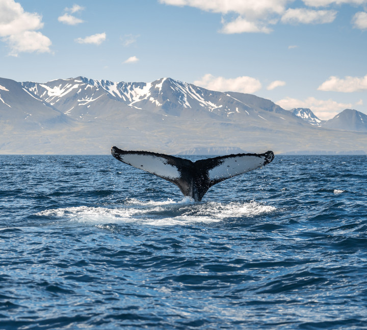 Iceland Circumnavigation: Helicopters, Glaciers and Volcanoes