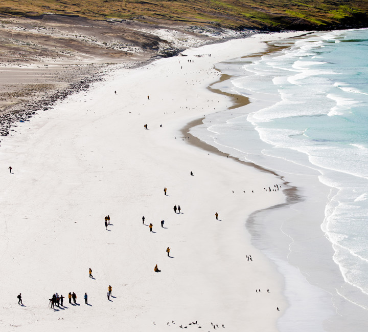 Penguins of the Far South: Falklands, South Georgia and Antarctica