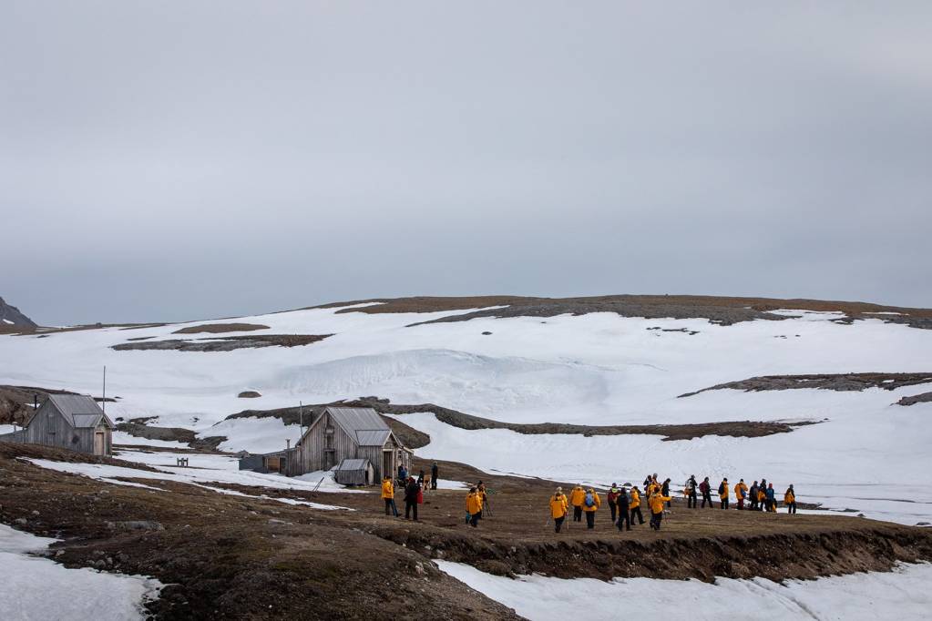 How to choose between the Arctic and Antarctic for your Polar Voyage
