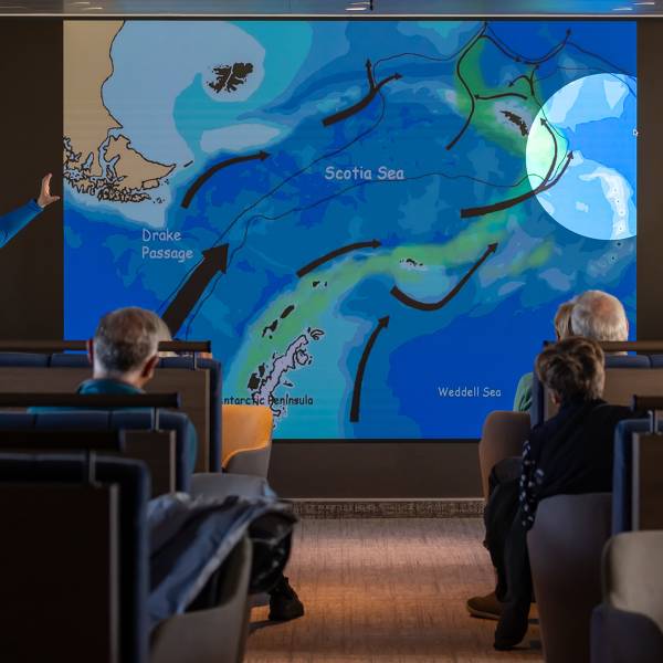 Ships at a Glance