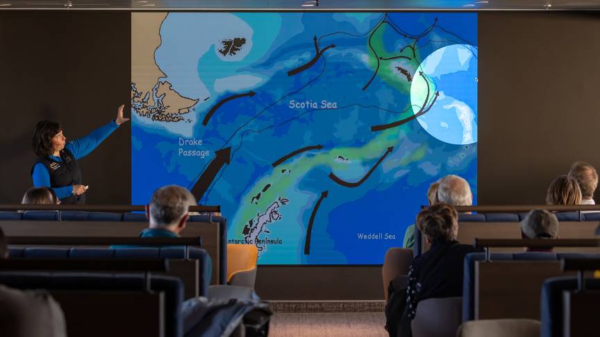 Ships at a Glance