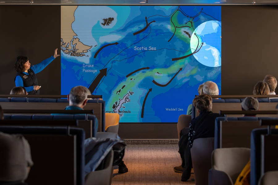 Antarctic Marine Mammals: The World of Whales and Seals