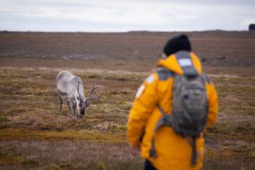 Expeditions