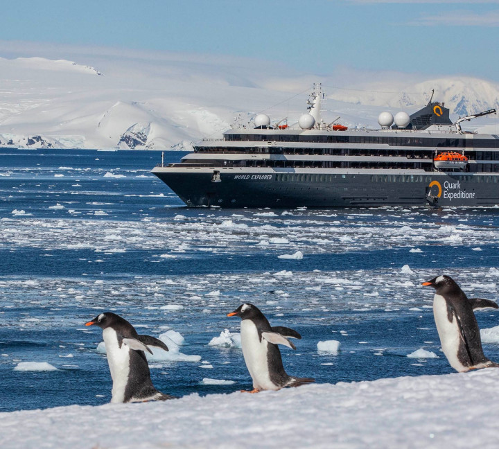 Gentoo penguins in front of the World Explorer in Antarctica