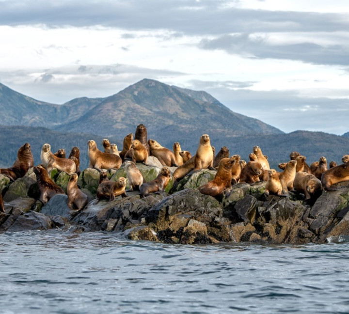 Essential Patagonia: Chilean Fjords and Torres del Paine