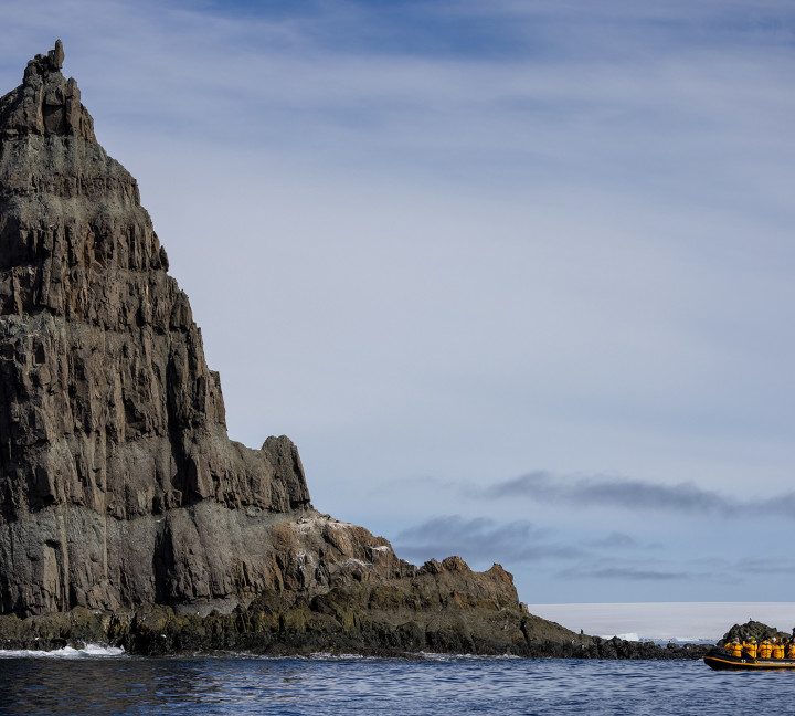 Penguins of the Far South: Falklands, South Georgia and Antarctica