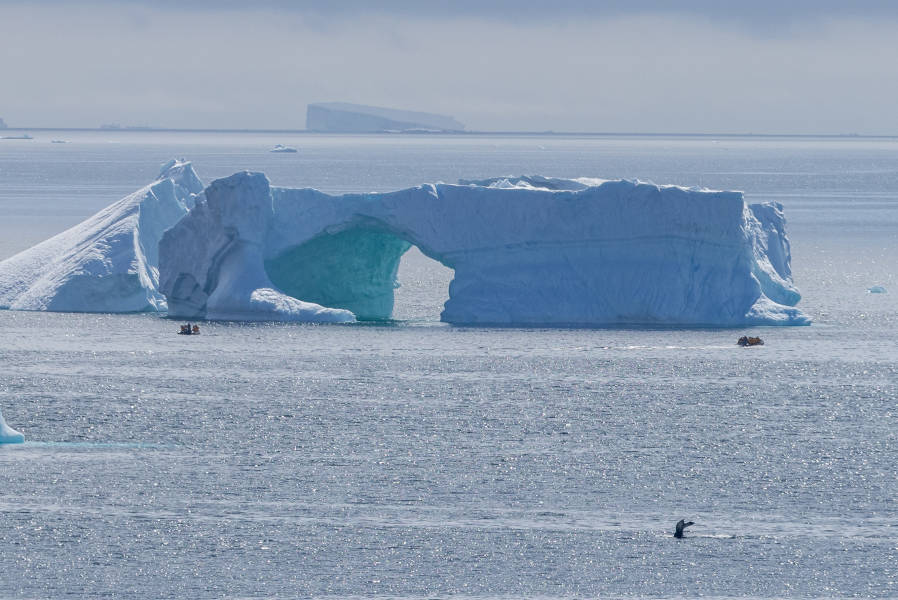 Antarctic Peninsula: A Rare Exploration of the Weddell Sea