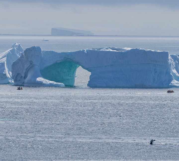 Antarctic Peninsula: A Rare Exploration of the Weddell Sea