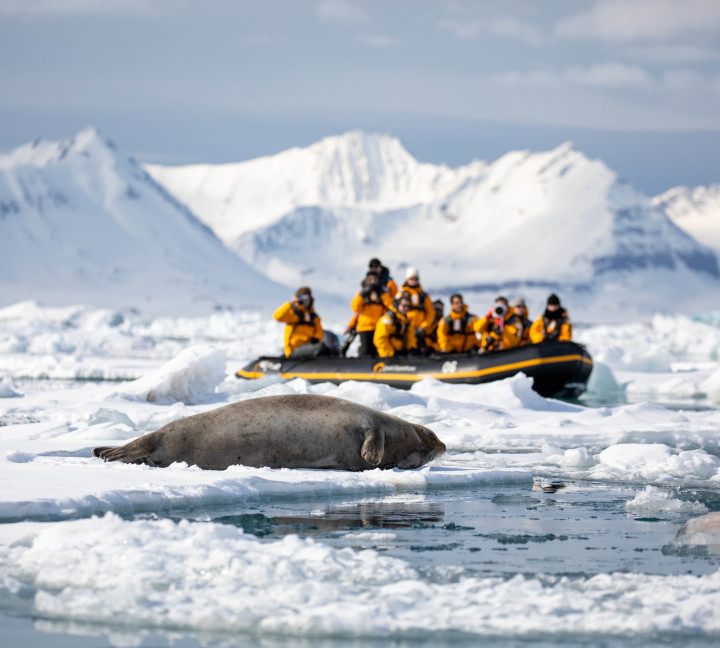 Svalbard in Spring: Sea Ice, Pristine Snow and Wildlife