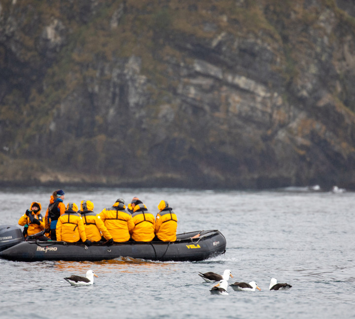 Penguins of the Far South: Falklands, South Georgia and Antarctica