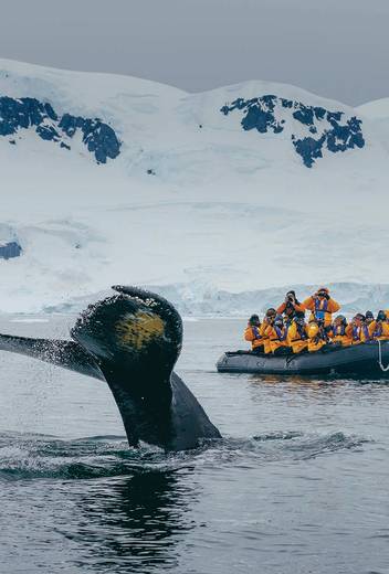Zodiac Cruising