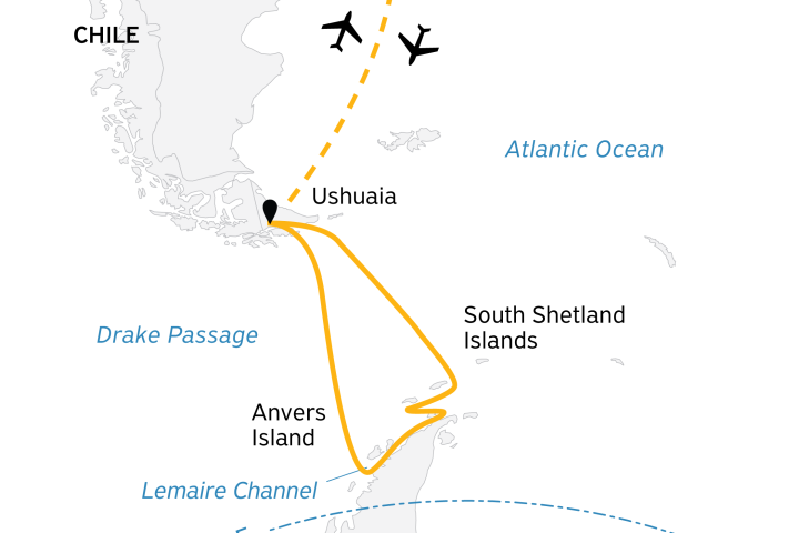 Antarctic Marine Mammals: The World of Whales and Seals
